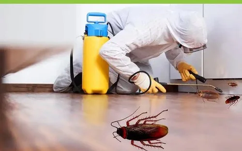 ارخص شركة مكافحة الصراصير في دبي